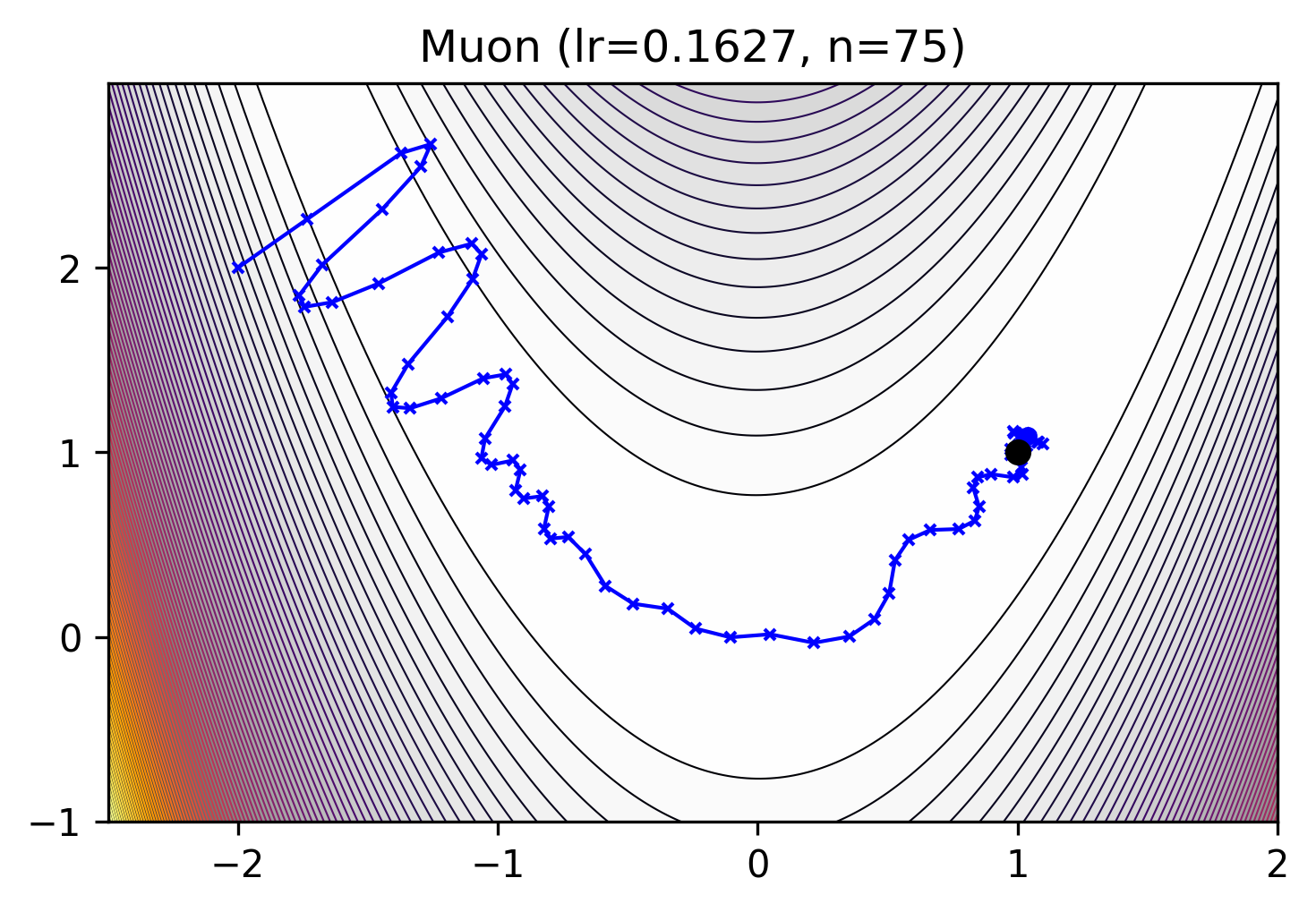 ../_images/rosenbrock_Muon.png